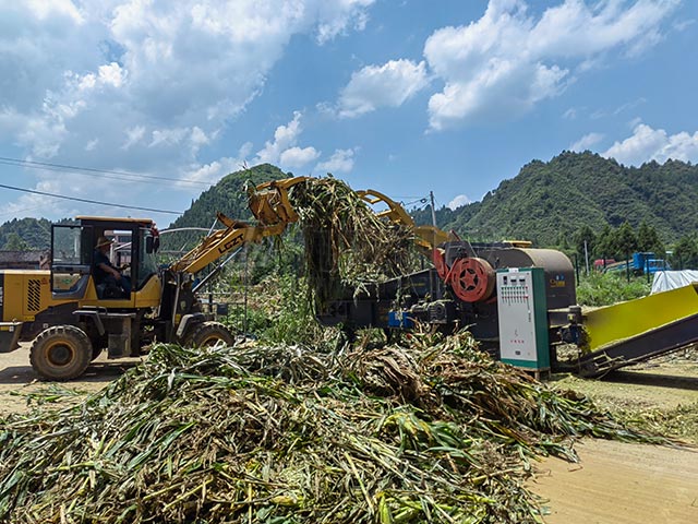 秸稈青貯粉碎機幫助秸稈變成牛羊營養(yǎng)餐